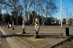  © Фото Елены Синеок, Юга.ру