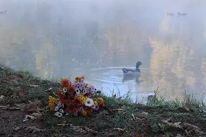  &copy;&nbsp;Фото Марины Солошко, Юга.ру