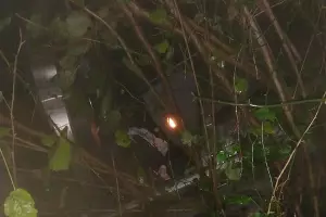  &copy;&nbsp;Фото пресс-службы ЮРПСО МЧС России