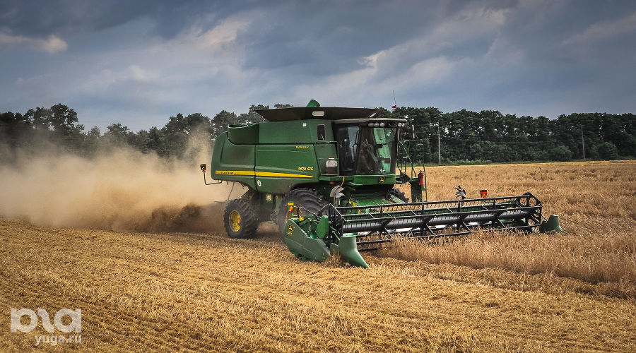  © Фото Елены Синеок, ЮГА.ру