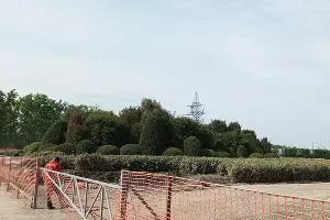  &copy;&nbsp;Фото Андрея Малёваного, Юга.ру