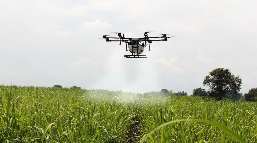  &copy;&nbsp;Фото Herney с сайта pixabay.com