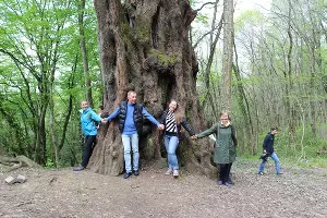  &copy;&nbsp;Фото пресс-службы Сочинского нацпарка