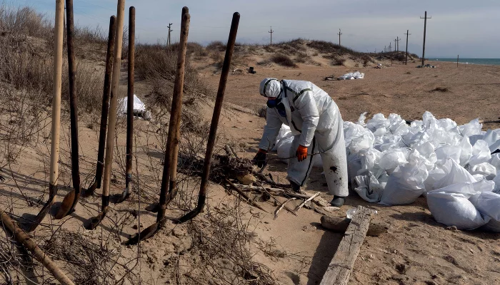 На восстановление пляжей Анапы и Темрюкского района нужно еще 35,7 млн рублей