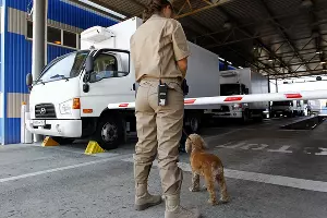  &copy;&nbsp;Фото Влада Александрова, Юга.ру