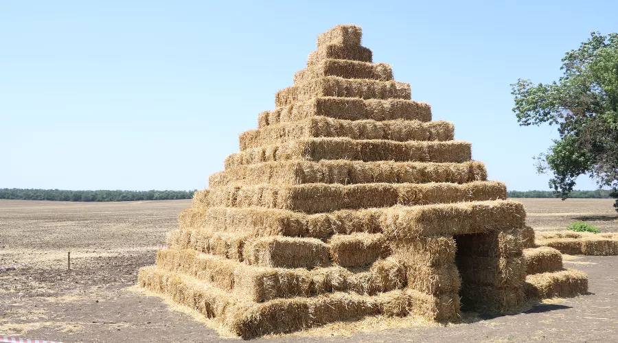  &copy;&nbsp;Фото пресс-службы Тбилисского района