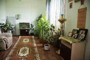  &copy;&nbsp;Фото Елены Синеок, Юга.ру