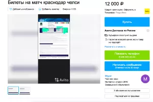  &copy;&nbsp;Скриншот объявления на сайте &laquo;Авито&raquo;
