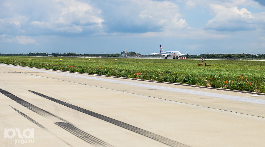  © Фото Елены Синеок, Юга.ру