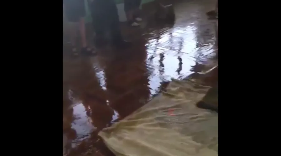  &copy;&nbsp;Скриншот видео из аккаунта &laquo;Типичный Краснодар&raquo;, www.instagram.com/tipich_krd