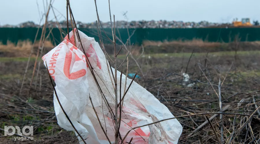  &copy;&nbsp;Фото Дмитрия Пославского, Юга.ру