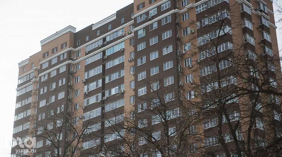  © Фото Елены Синеок, Юга.ру