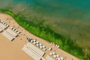  &copy;&nbsp;Фото Антона Быкова, Юга.ру