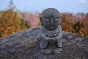  &copy;&nbsp;Фото Марины Солошко, Юга.ру