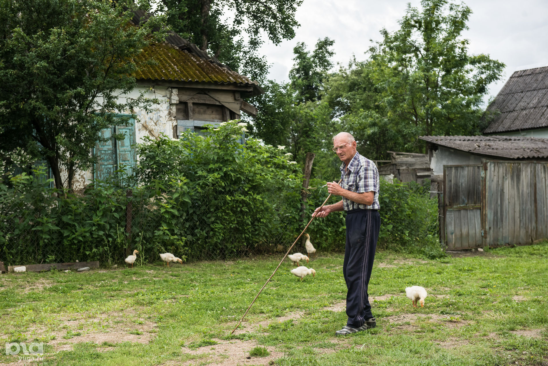 Поселок Псебай © Фото Елены Синеок, Юга.ру