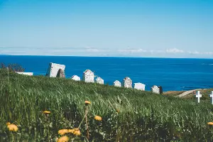  &copy;&nbsp;Фото Rod Long, unsplash.com