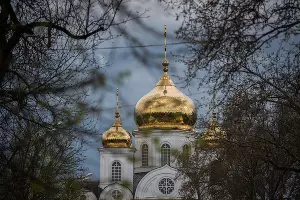  &copy;&nbsp;Фото Елены Синеок, Юга.ру