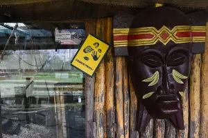  &copy;&nbsp;Фото Елены Синеок, Юга.ру