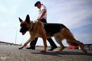  &copy;&nbsp;Фото Влада Александрова, Юга.ру