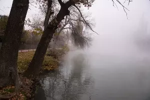 Туман в парке «Солнечный остров» &copy;&nbsp;Фото Елены Синеок, Юга.ру