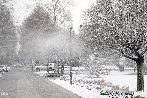  &copy;&nbsp;Фото Алёны Живцовой, Юга.ру