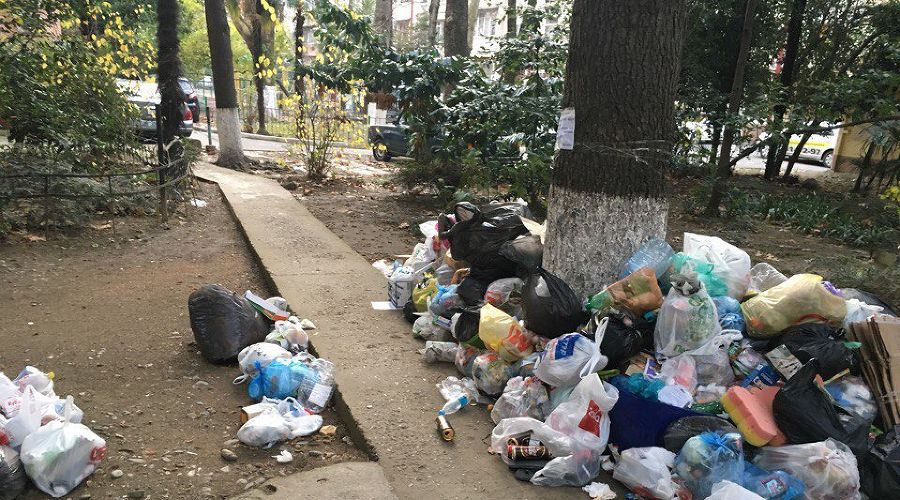  © Фото из группы vk.com/this_is_sochi