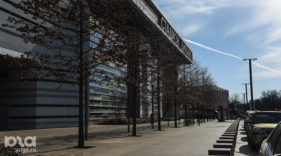  &copy;&nbsp;Фото Елены Синеок, Юга.ру