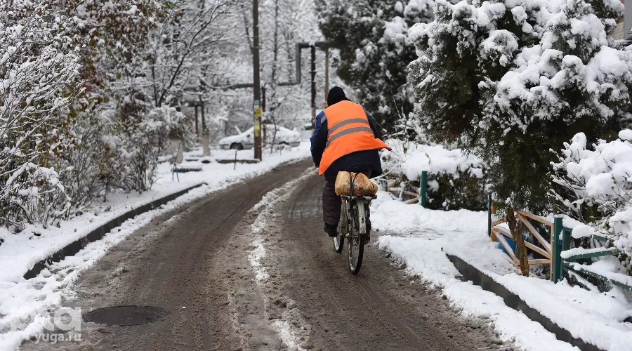  &copy;&nbsp;Фото Елены Синеок, Юга.ру