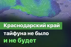  &copy;&nbsp;Скриншот из телеграм-канала &laquo;Кубань 24: важное&raquo;, https://t.me/kuban24