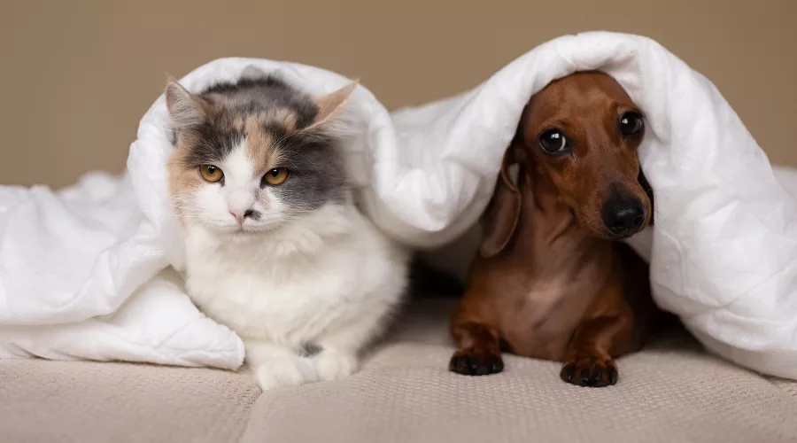  &copy;&nbsp;Фото freepik с сайта https://freepik.com