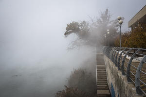 Туман в парке «Солнечный остров» © Фото Елены Синеок, Юга.ру