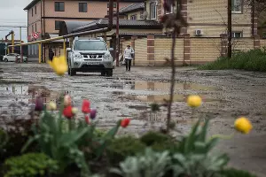  &copy;&nbsp;Фото Елены Синеок, Юга.ру