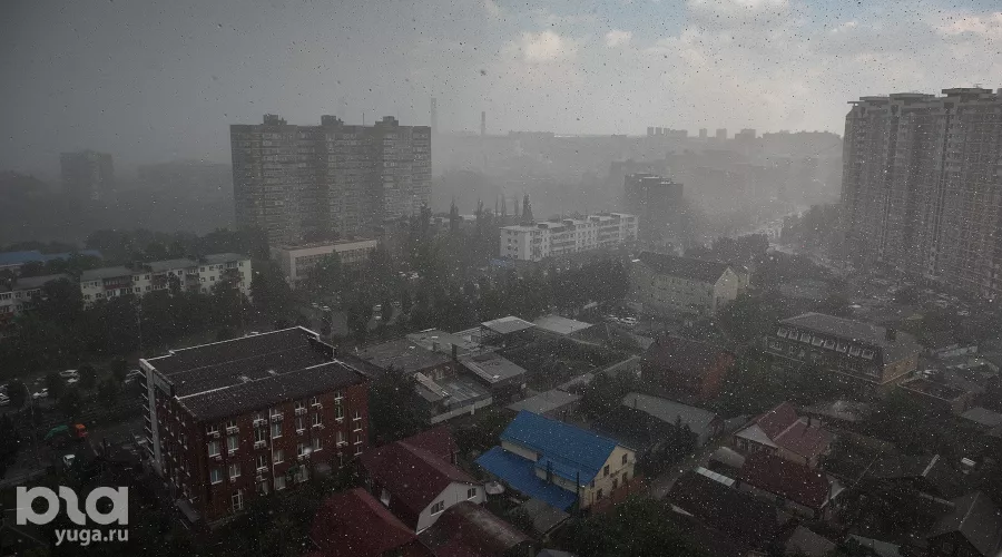  &copy;&nbsp;Фото Елены Синеок, Юга.ру