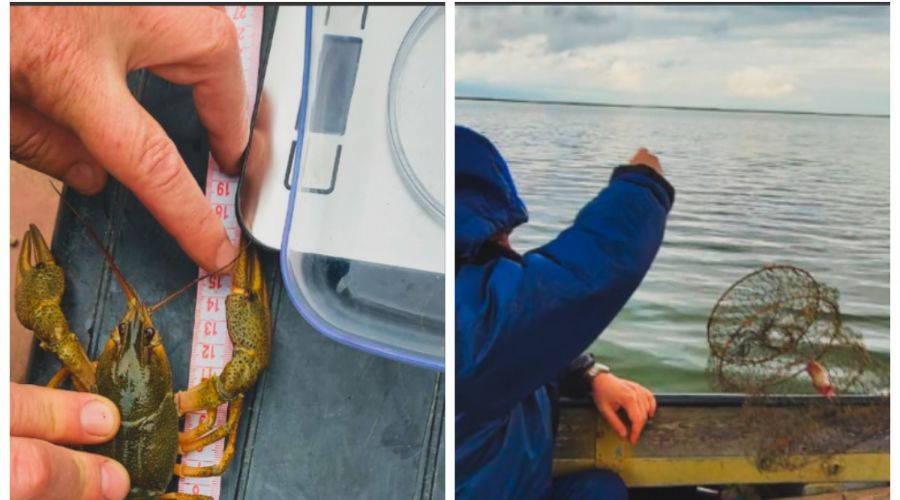  © Скриншот сайта Азово-Черноморского филиала «ВНИРО» («АзНИИРХ») azniirkh.vniro.ru