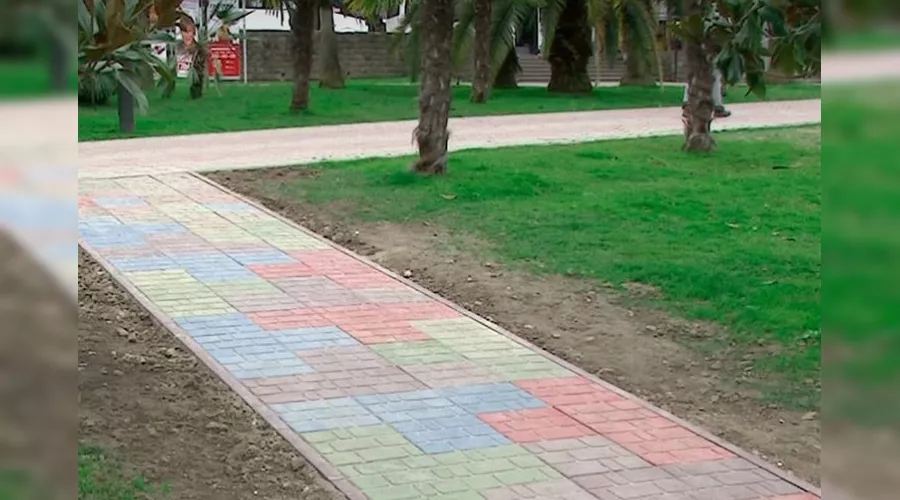  &copy;&nbsp;Фото пресс-службы администрации Сочи