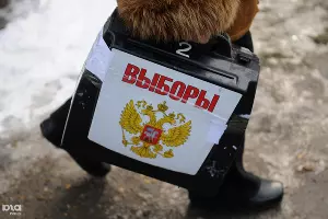  &copy;&nbsp;Елена Синеок. ЮГА.ру