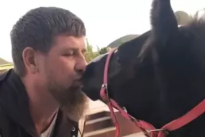  &copy;&nbsp;Кадр из видео со страницы Джамбулата Умарова в Instagram, instagram.com/djambox