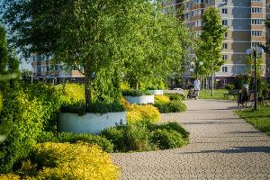  &copy;&nbsp;Фото Александра Шестакова, предоставлено пресс-службой СК &laquo;Семья&raquo;