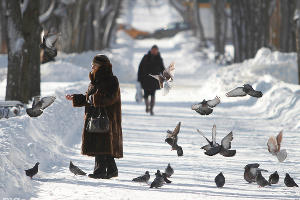 Аномальные морозы в Ставрополе © Эдуард Корниенко, ЮГА.ру