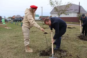 &copy;&nbsp;Фото пресс-службы Тбилисского района