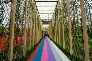 Спортивное пространство в парке «Краснодар»  © Фото Елены Синеок, Юга.ру