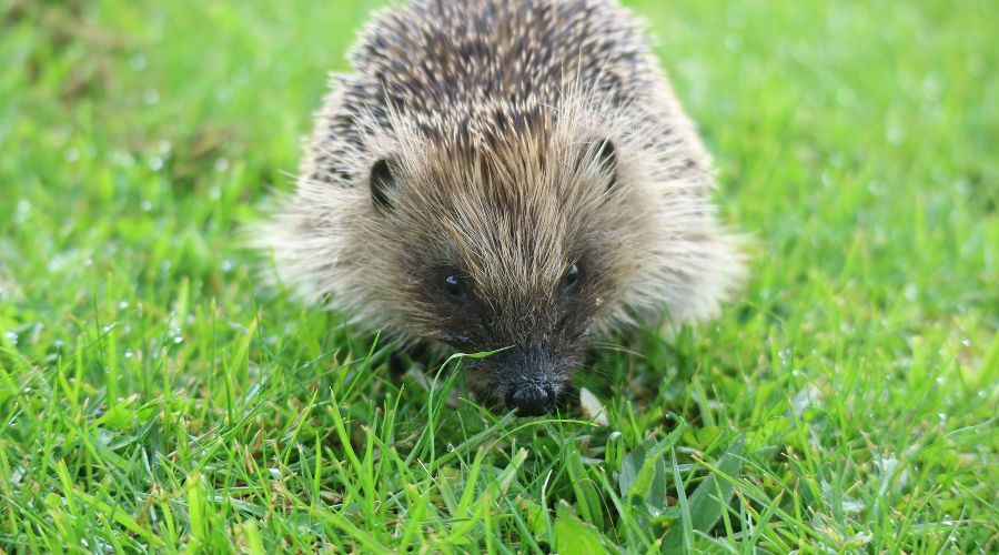  © Фото Bill Fairs с сайта Unsplash.com