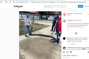  &copy;&nbsp;скриншот из паблика в инстаграме instagram.com/p/CazdZ_GjYnx/?utm_medium=copy_link