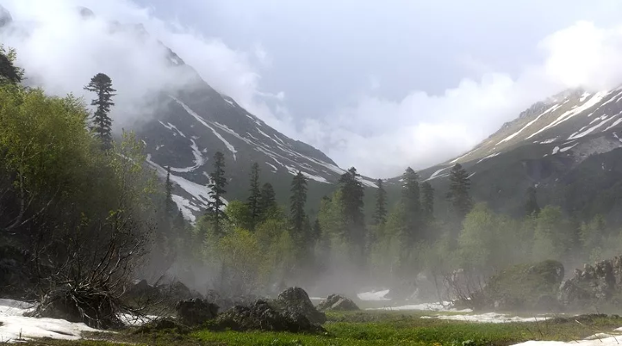  &copy;&nbsp;Фото из группы vk.com/kavzapoved