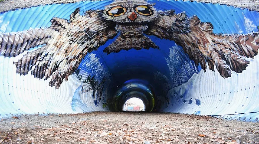  &copy;&nbsp;Фото из аккаунта www.instagram.com/stenaclub