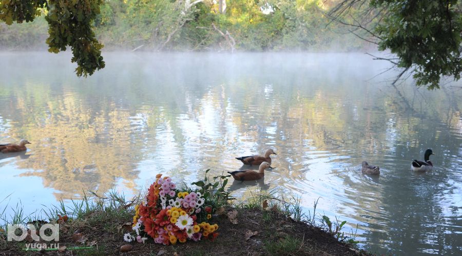  © Фото Марины Солошко, Юга.ру