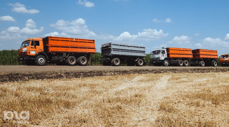  &copy;&nbsp;Фото Амины Ибрагимовой, Юга.ру