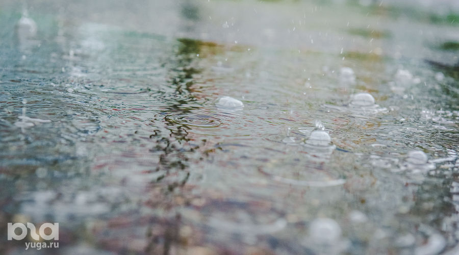  &copy;&nbsp;Фото Елены Синеок, Юга.ру