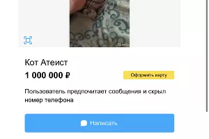  &copy;&nbsp;Скриншот объявления с Avito, avito.ru/krasnodar/koshki/kot_ateist_2222878520