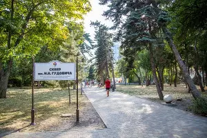  &copy;&nbsp;Фото пресс-службы мэрии Анапы